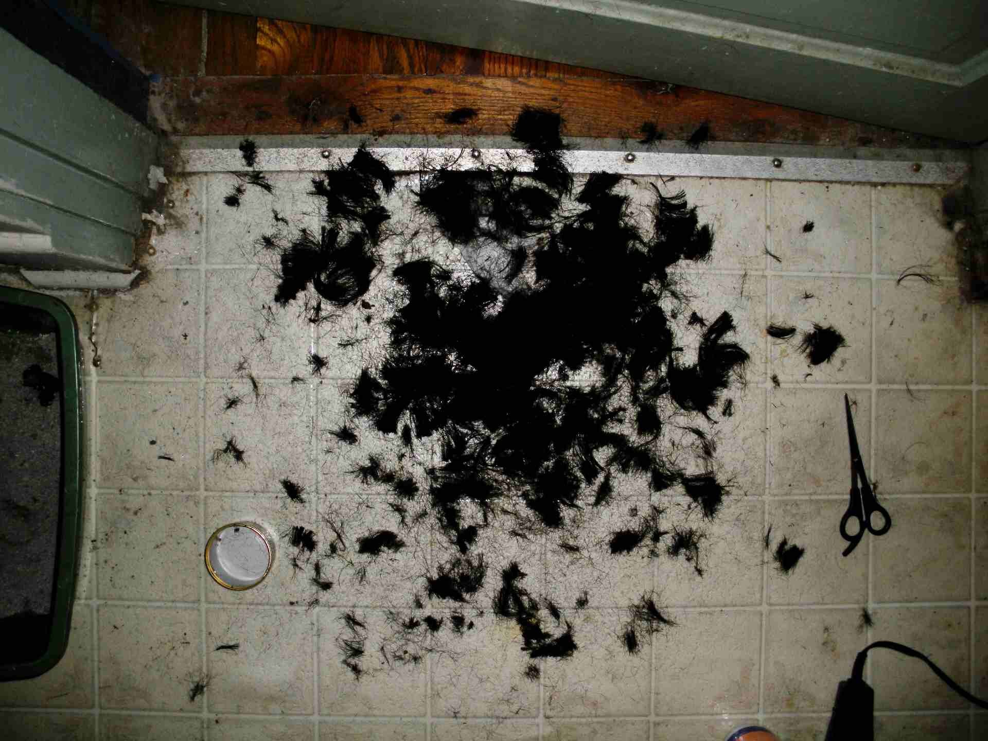 Hair